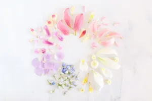 Serene Pastel-colored Spring Garden Wallpaper