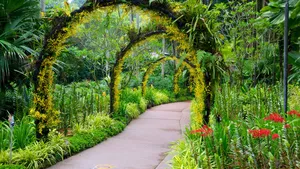 Serene Pathway In A Lush Botanical Garden Wallpaper