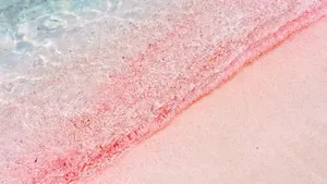 Serene Pink Beach Paradise Wallpaper