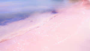 Serene Pink Beach Sunset Wallpaper