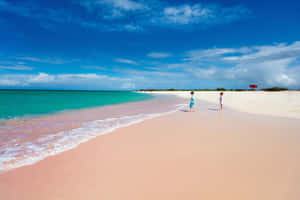 Serene Pink Sand Beach During Golden Hour Wallpaper