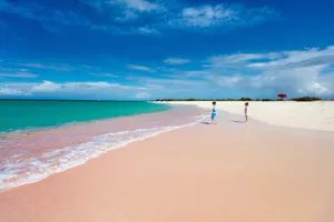 Serene Pink Sand Beach During Golden Hour Wallpaper
