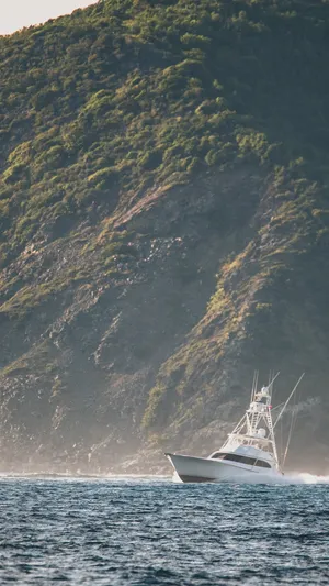 Serene Saltwater Horizon Wallpaper