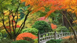 Serene Samurai Garden In A Japanese Landscape Wallpaper