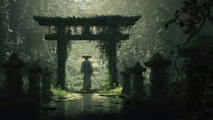 Serene Shinto Shrine Wallpaper