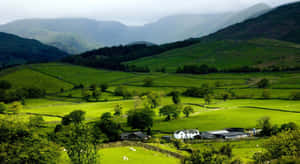 Serene Spring Landscape Wallpaper