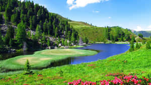 Serene Spring Landscape With Crystal Clear Lake And Lush Green Foliage Wallpaper