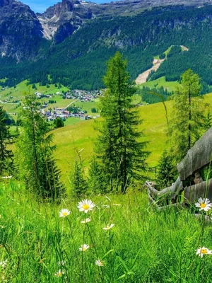 Serene Spring Mountain Landscape Wallpaper