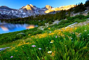Serene Spring Mountain Landscape Wallpaper