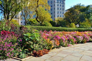 Serene Spring Park Complemented By Blooming Flowers And A Tranquil Lake Wallpaper