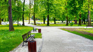 Serene Spring Park With Blooming Flowers And A Peaceful Lake Wallpaper