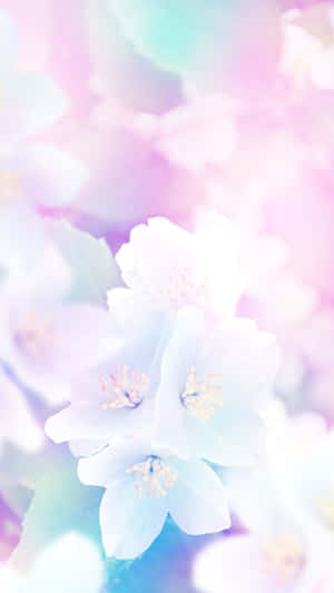 Serene Spring Pastel Scenery Wallpaper