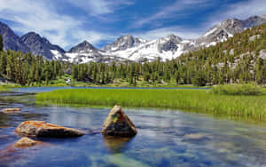 Serene Spring River Flowing Through A Lush Green Forest Wallpaper