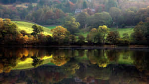 Serene Spring River Flowing Through Lush Green Forest Wallpaper