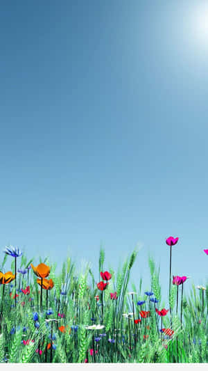 Serene Spring Sky Wallpaper