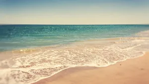 Serene Summer Beach Aesthetic Wallpaper