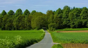 Serene Summer Landscape Wallpaper