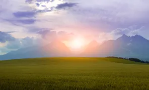 Serene Summer Landscape Wallpaper