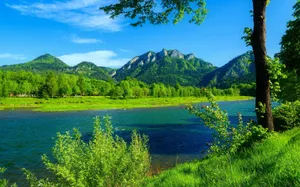 Serene Summer Landscape Wallpaper