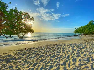 Serene Summer Landscape With Vibrant Colors Wallpaper