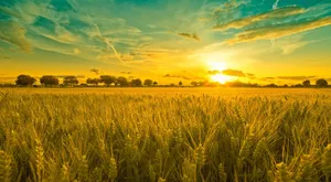 Serene Summer Landscape With Vibrant Colors Wallpaper