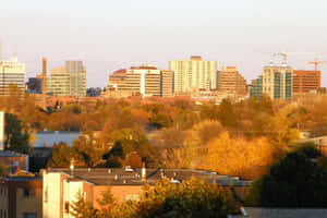 Serene Sunrise Over The Conestoga River, Kitchener Wallpaper
