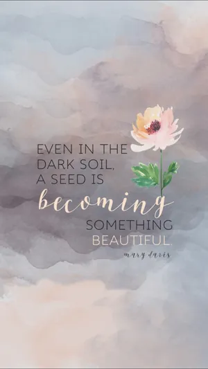 Serene Sunrise With Inspirational Quote Wallpaper