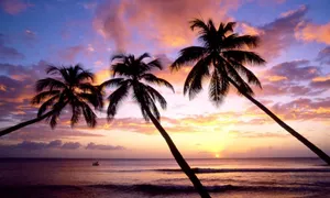Serene Sunset At A Tropical Beach With Palm Trees Wallpaper