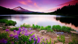 Serene Twilight In Nature's Lap Wallpaper