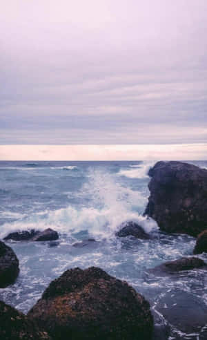 “serene Underwater Scene” Wallpaper