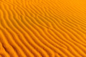 Serene Undulating Sand Dunes Of The Desert Wallpaper