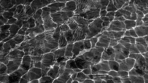 Serene View Of A Tranquil Clear Water Lake Captured In Stunning 4k Resolution Wallpaper