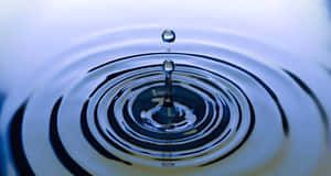 Serene Water Drop Ripple Background Wallpaper