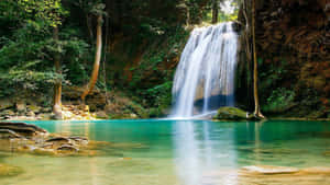 Serene_ Waterfall_ Oasis.jpg Wallpaper