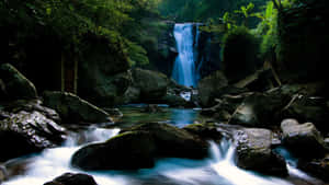 Serene_ Waterfall_ Oasis.jpg Wallpaper