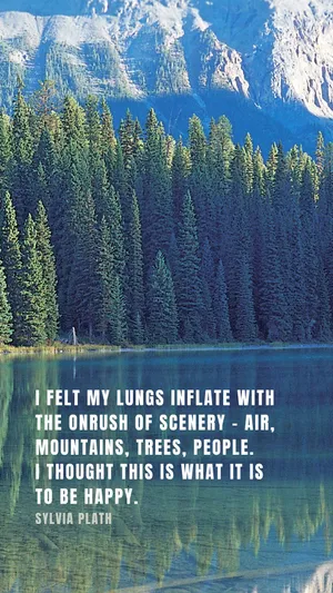 Serene Wilderness At Dawn Wallpaper