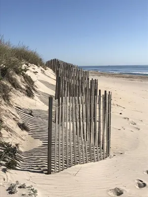 Serene Winter Beach Escape Wallpaper