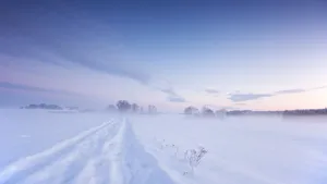 Serene Winter Landscape4 K Wallpaper