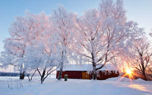 Serene Winter Scenery Wallpaper