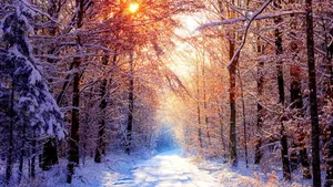 Serene Winter Wonderland Wallpaper