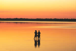 Serene Yellow Beach At Sunset Wallpaper