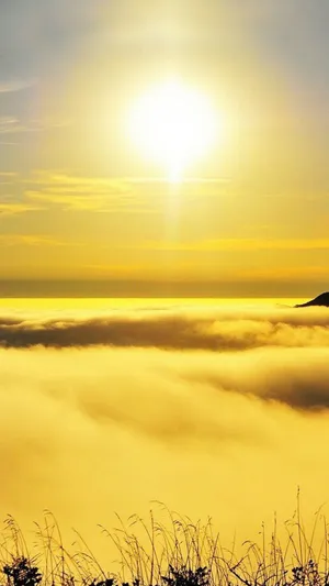 Serene Yellow Sunset Wallpaper