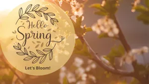 Serene Zen Bedroom With Earthy Accents Wallpaper