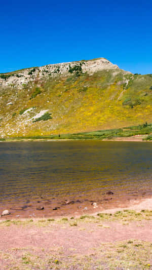 Serenity At Pink Beach Wallpaper