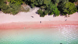 Serenity At Pink Beach Wallpaper