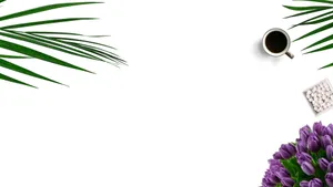 Serenity In Simplicity, Minimalist Plant On Desktop Wallpaper