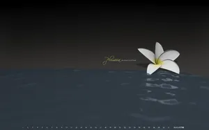 Serenity Plumeria August Calendar Desktop Wallpaper