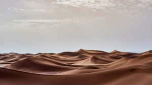 Serenityin Sand Dunes Wallpaper