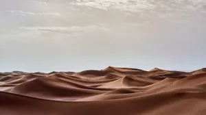 Serenityin Sand Dunes Wallpaper