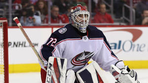 Sergei Bobrovsky Award Winning Player Wallpaper